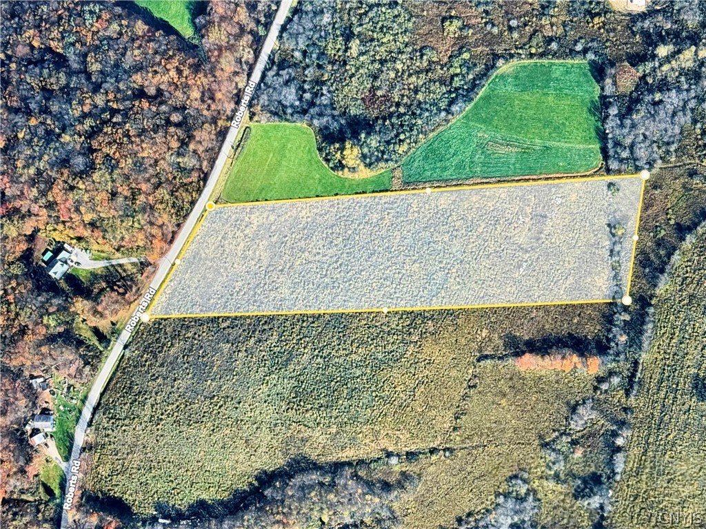0 Roberts Road Eaton, NY 13334 - Photo 7 of 13