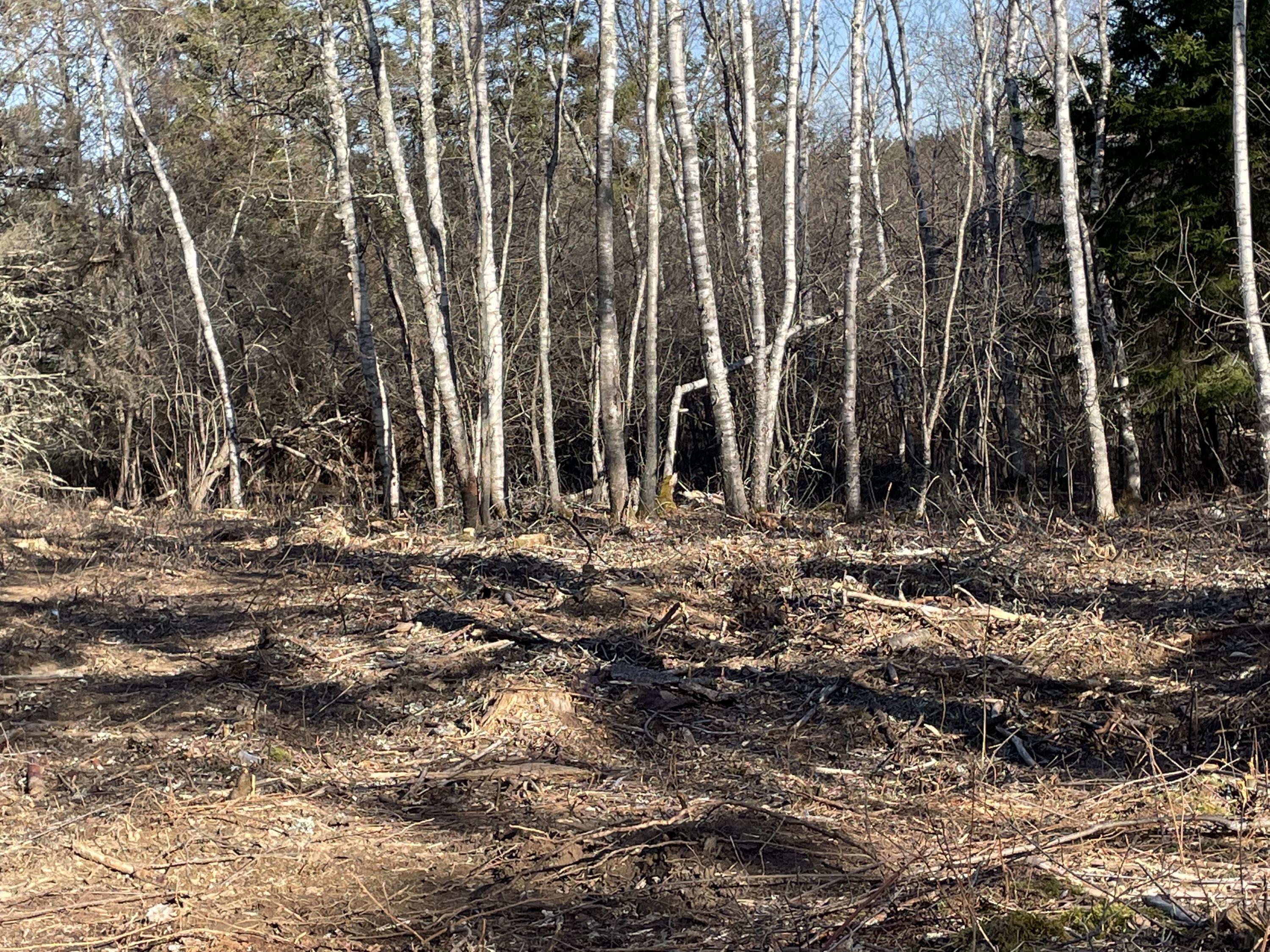 0 North Shore Road North Haven, ME 04853 - Photo 3 of 5 IMG_1466