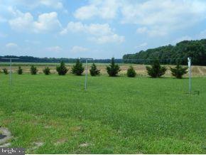 5703 Church Home Road Rhodesdale, MD 21659 - Photo 3 of 5