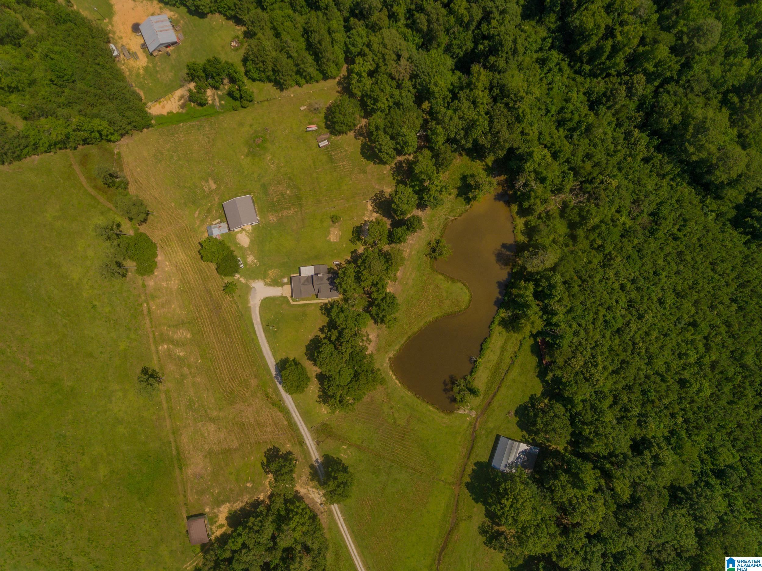 2081 Ross Lake Road Wellington, AL 36279 - Photo 40 of 42 Gallery Image 40