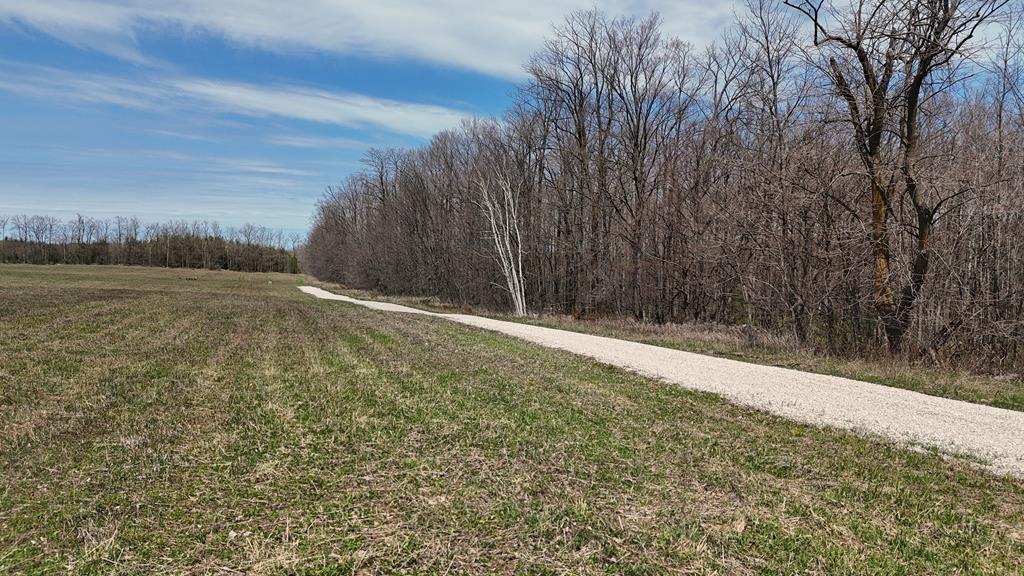 S Lot South Lot County Road Sister Bay, WI 54234 - Photo 8 of 13