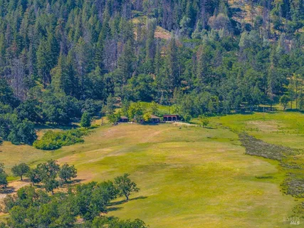 a view of a backyard with a lake view