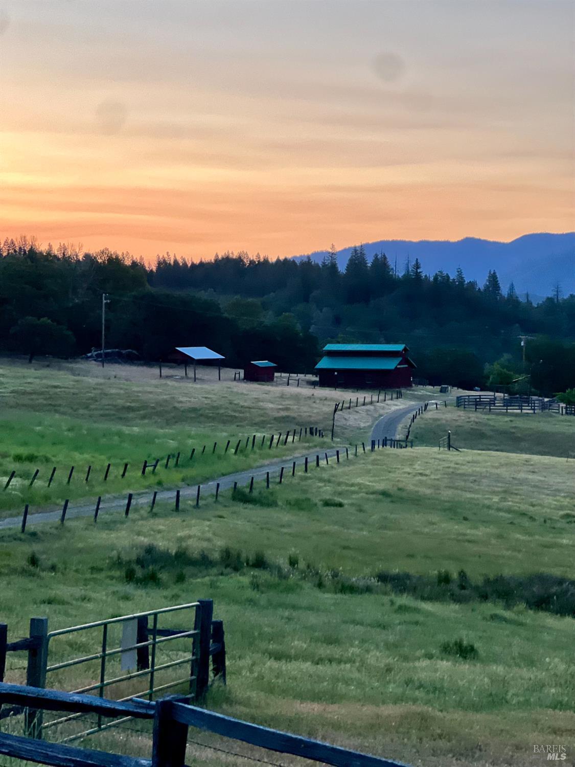 125 Cedar Gulch Road Hayfork, CA 96041 - Photo 4 of 57 a view of a back yard