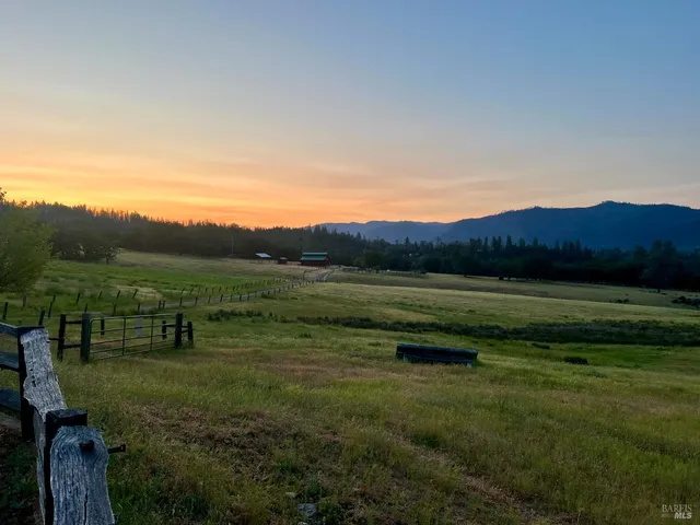a view of a backyard with green space