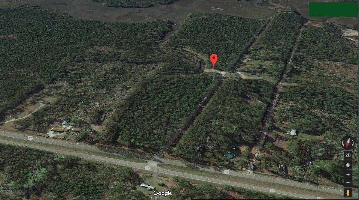 0 Rosa Green Road, Unit A McClellanville, SC 29458 - Photo 1 of 7 rosa green 1