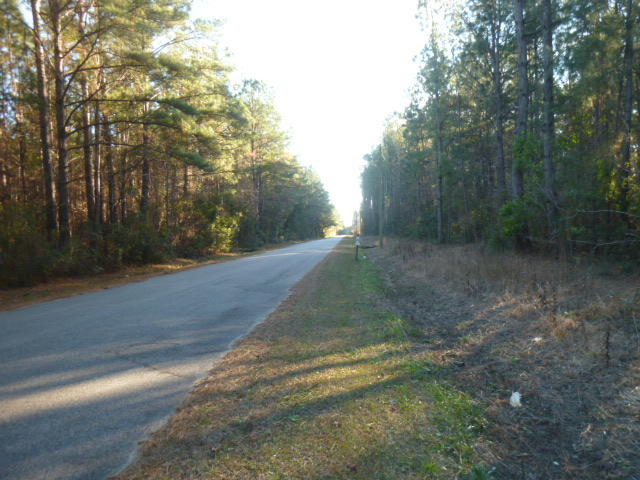0 Rosa Green Road, Unit A McClellanville, SC 29458 - Photo 3 of 7 rosa green 3