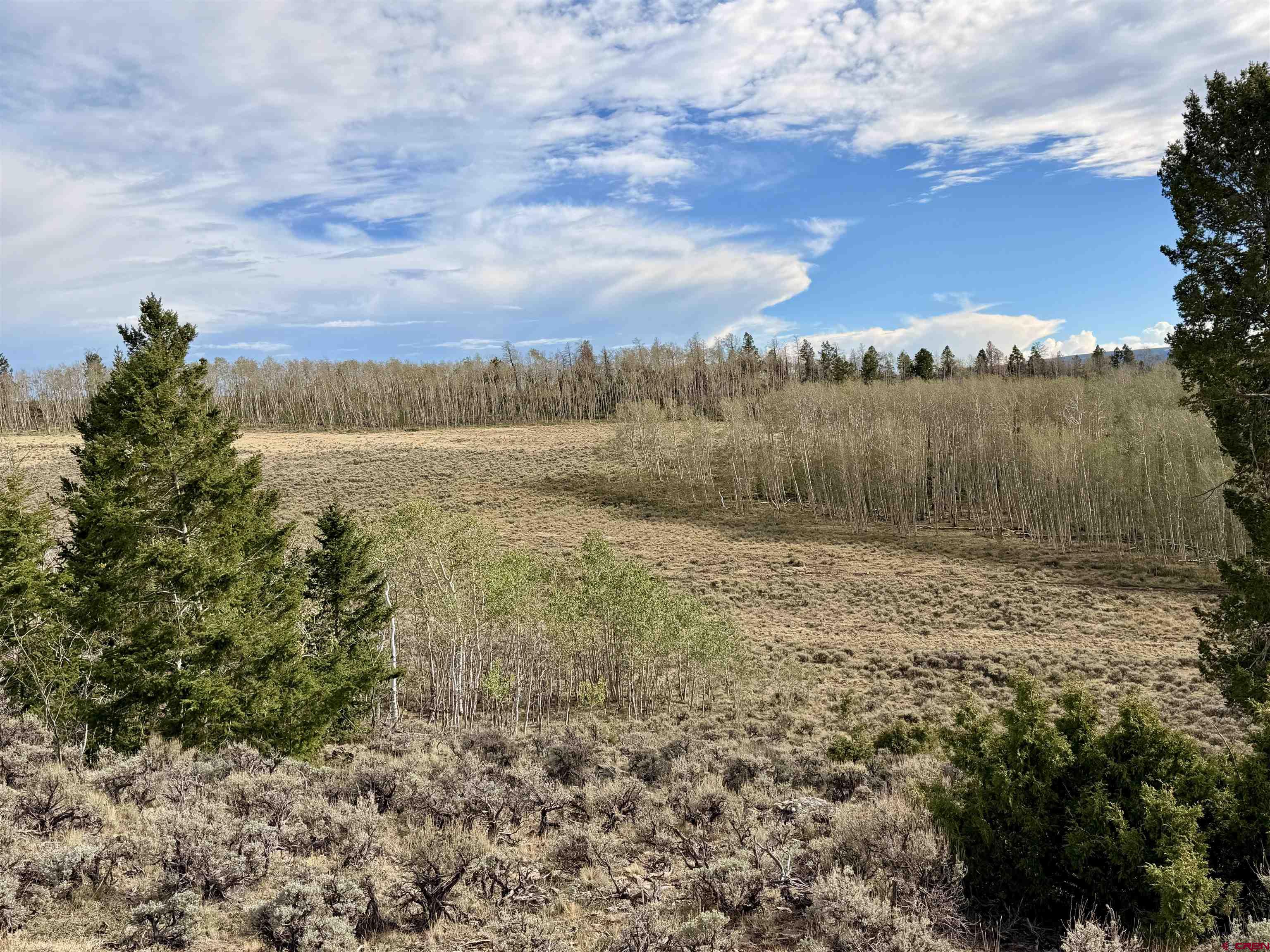 149 Rd Powderhorn Co 81230 Road Powderhorn, CO 81243 - Photo 22 of 40 Gallery Image 22