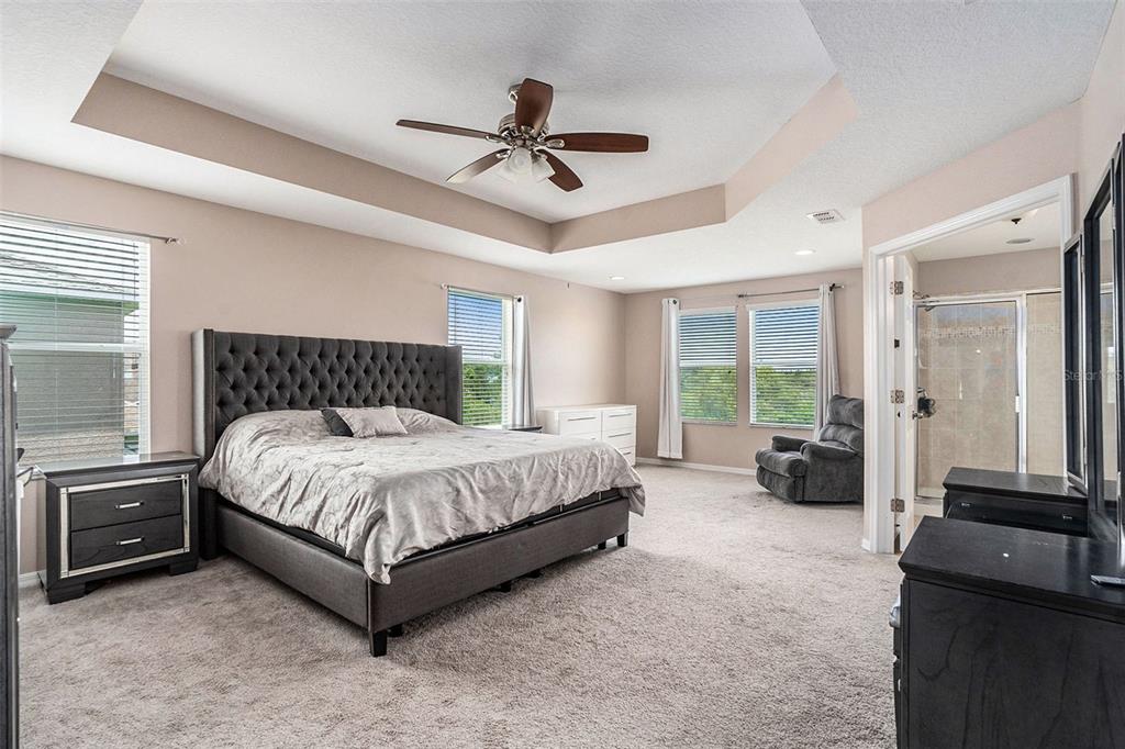 10737 Breaking Rocks Drive Tampa, FL 33647 - Photo 17 of 28 a spacious bedroom with a bed and a couch