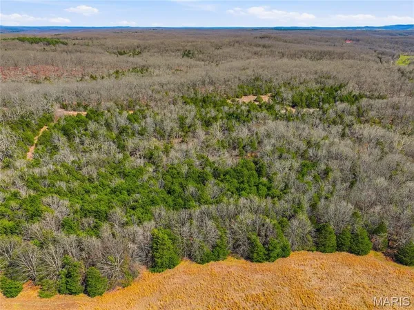 $750,000 | 2480 County Road 317, Ava, MO 65608