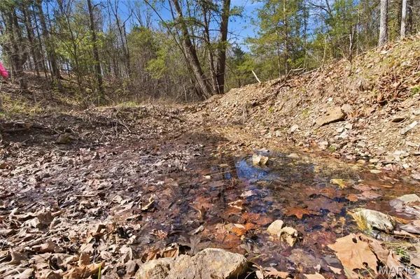 $750,000 | 2480 County Road 317, Ava, MO 65608