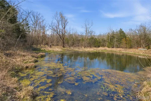 $750,000 | 2480 County Road 317, Ava, MO 65608