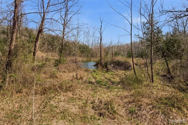$750,000 | 2480 County Road 317, Ava, MO 65608