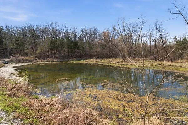 $750,000 | 2480 County Road 317, Ava, MO 65608