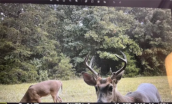$750,000 | 2480 County Road 317, Ava, MO 65608