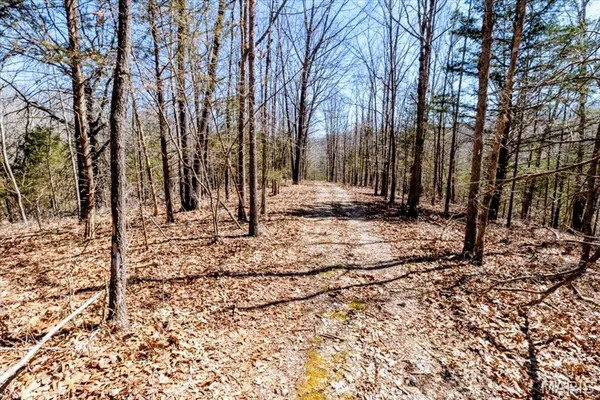 $750,000 | 2480 County Road 317, Ava, MO 65608