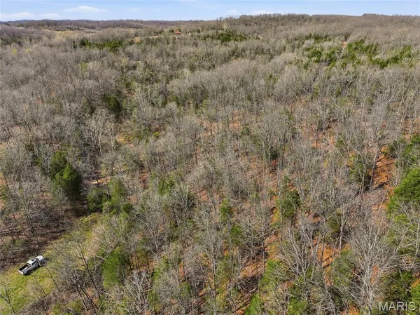 $750,000 | 2480 County Road 317, Ava, MO 65608