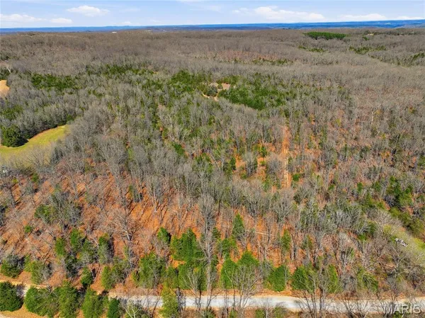 $750,000 | 2480 County Road 317, Ava, MO 65608