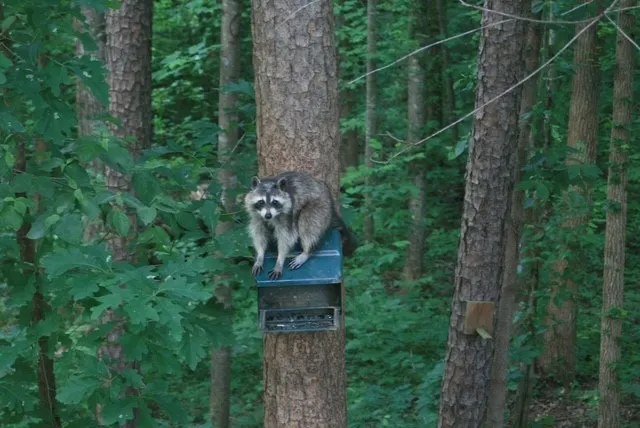 $345,000 | 410 South Hogan Drive, Westminster, SC 29693