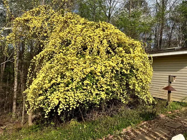 $345,000 | 410 South Hogan Drive, Westminster, SC 29693