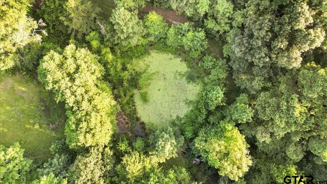 a view of a lush green yard