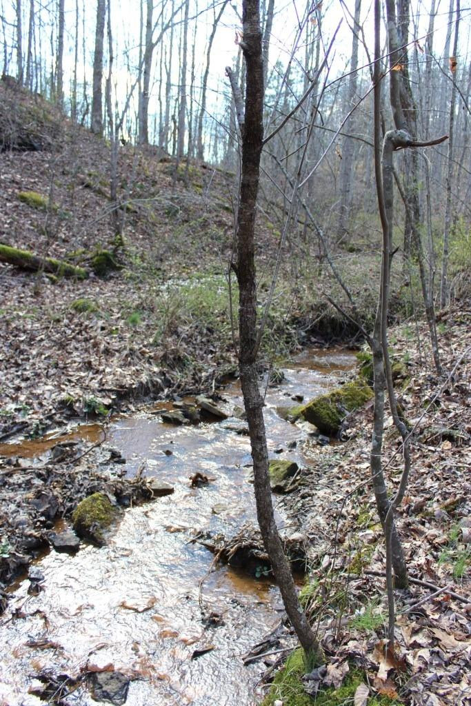 1176 War Fork Road McKee, KY 40447 - Photo 20 of 48 Photo 20