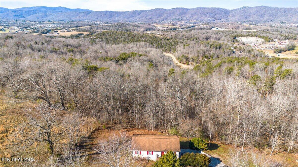 155 Mozingo Lane Jacksboro, TN 37757 - Photo 41 of 43 41-Mozingo