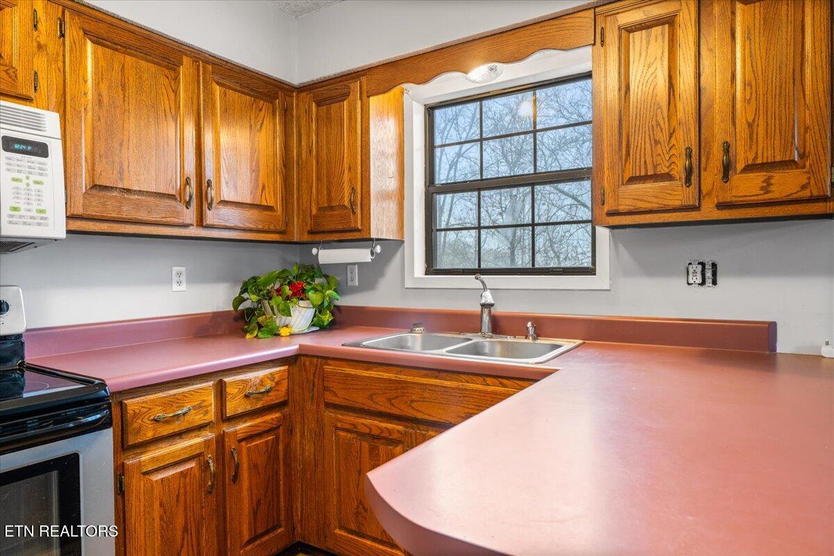 155 Mozingo Lane Jacksboro, TN 37757 - Photo 10 of 43 09-Mozingo