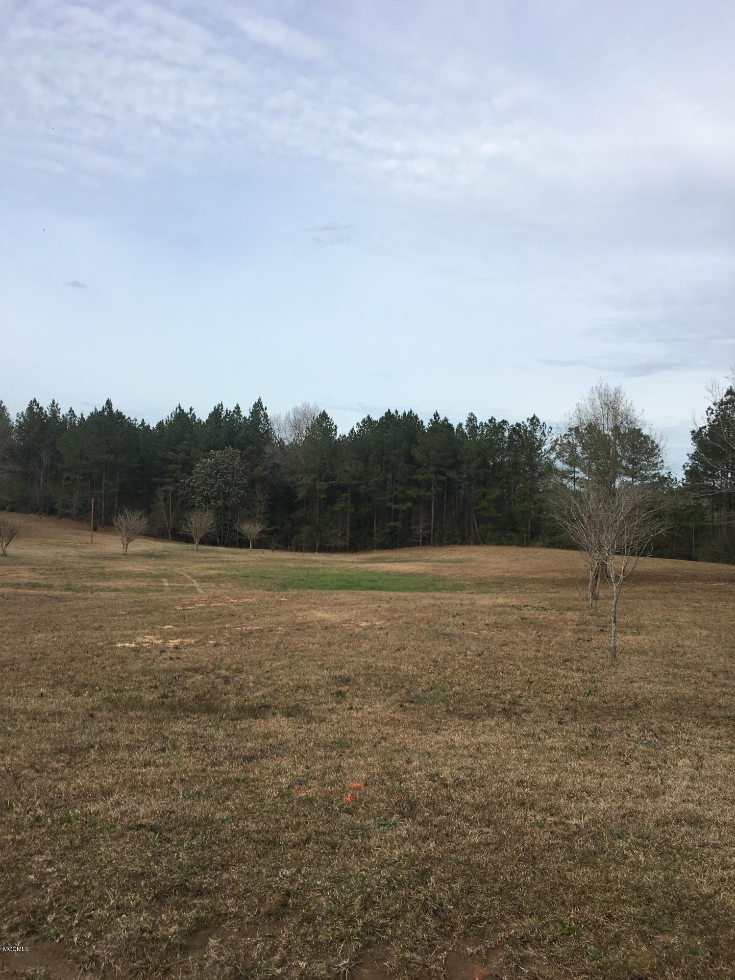Lot 25 Blackwell Farm Road Saucier, MS 39574 - Photo 1 of 6 Primary Photo