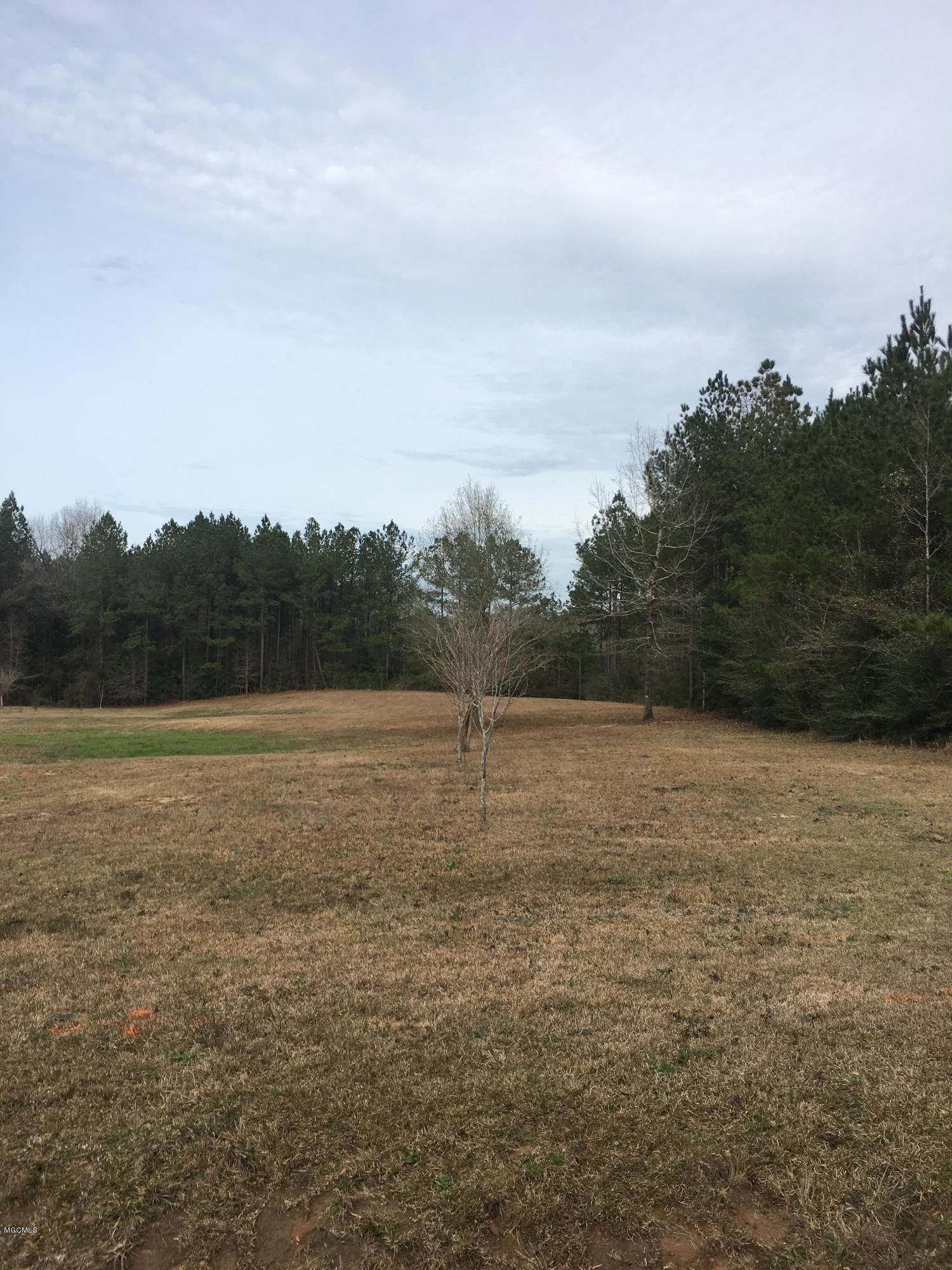Lot 25 Blackwell Farm Road Saucier, MS 39574 - Photo 2 of 6 2