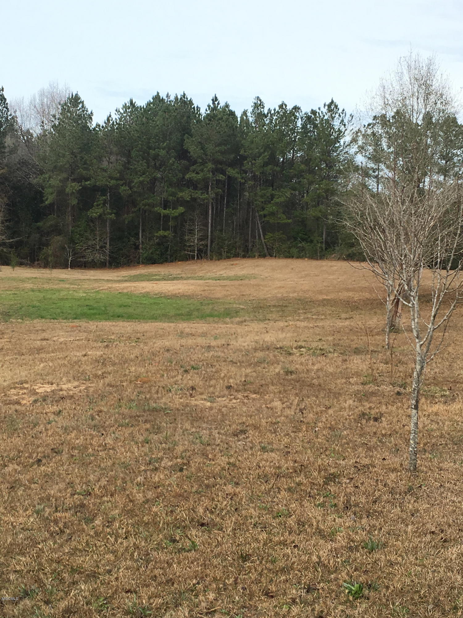 Lot 25 Blackwell Farm Road Saucier, MS 39574 - Photo 6 of 6 6