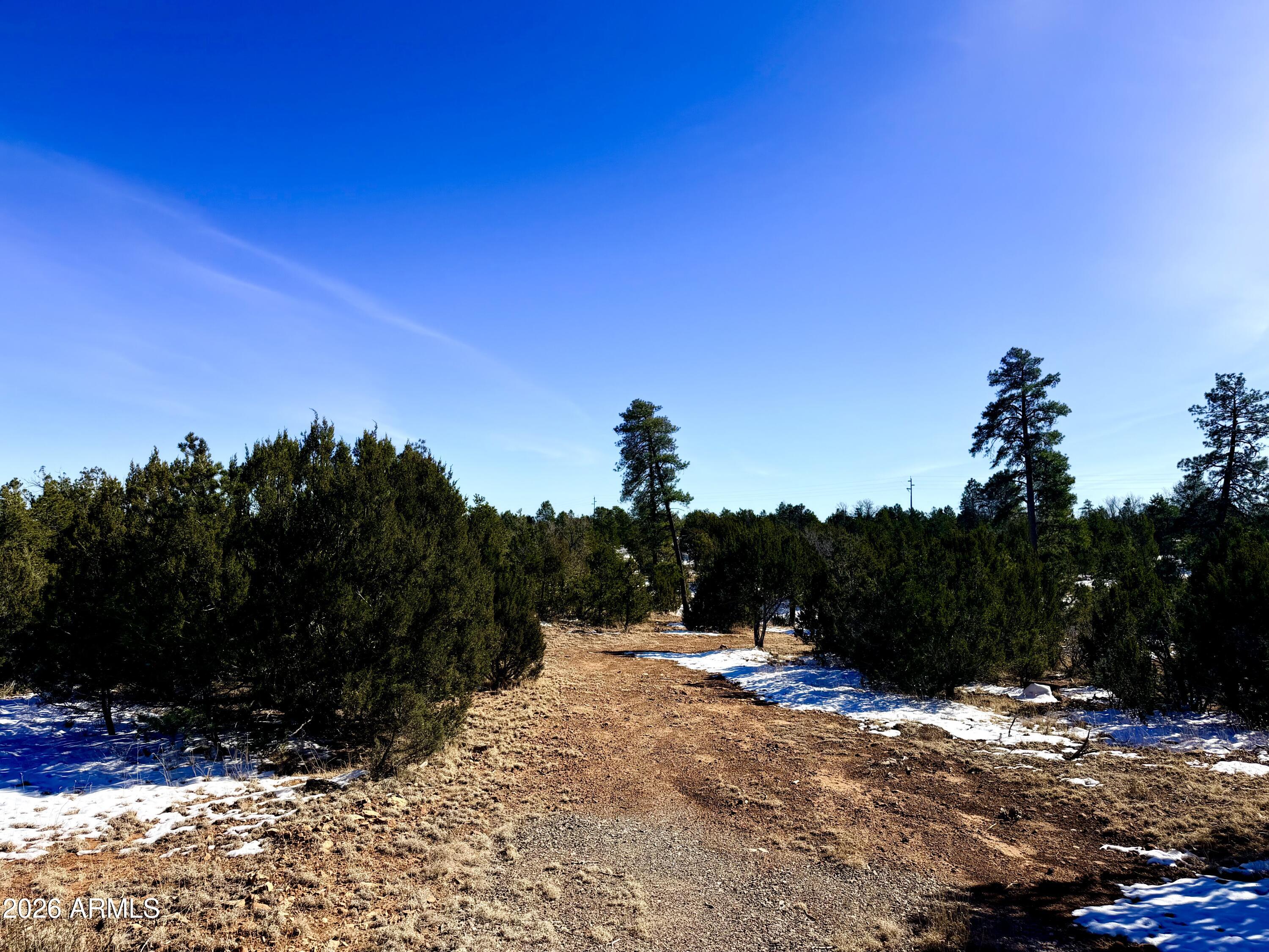 5302 Sunset Ridge Loop, Unit 194 Happy Jack, AZ 86024 - Photo 14 of 30 IMG_3095