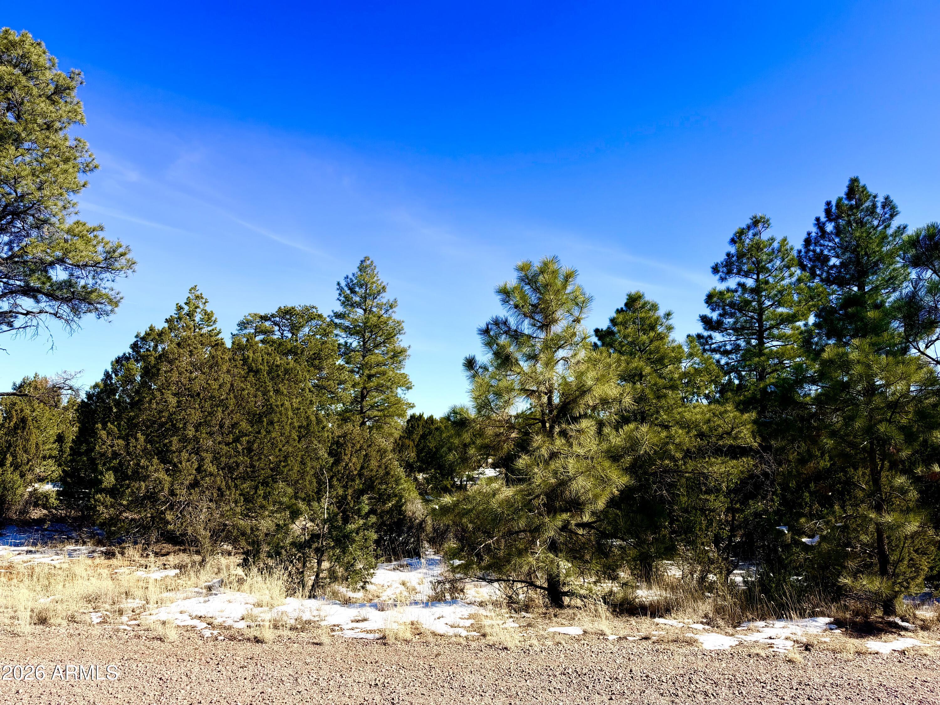5302 Sunset Ridge Loop, Unit 194 Happy Jack, AZ 86024 - Photo 15 of 30 IMG_3104