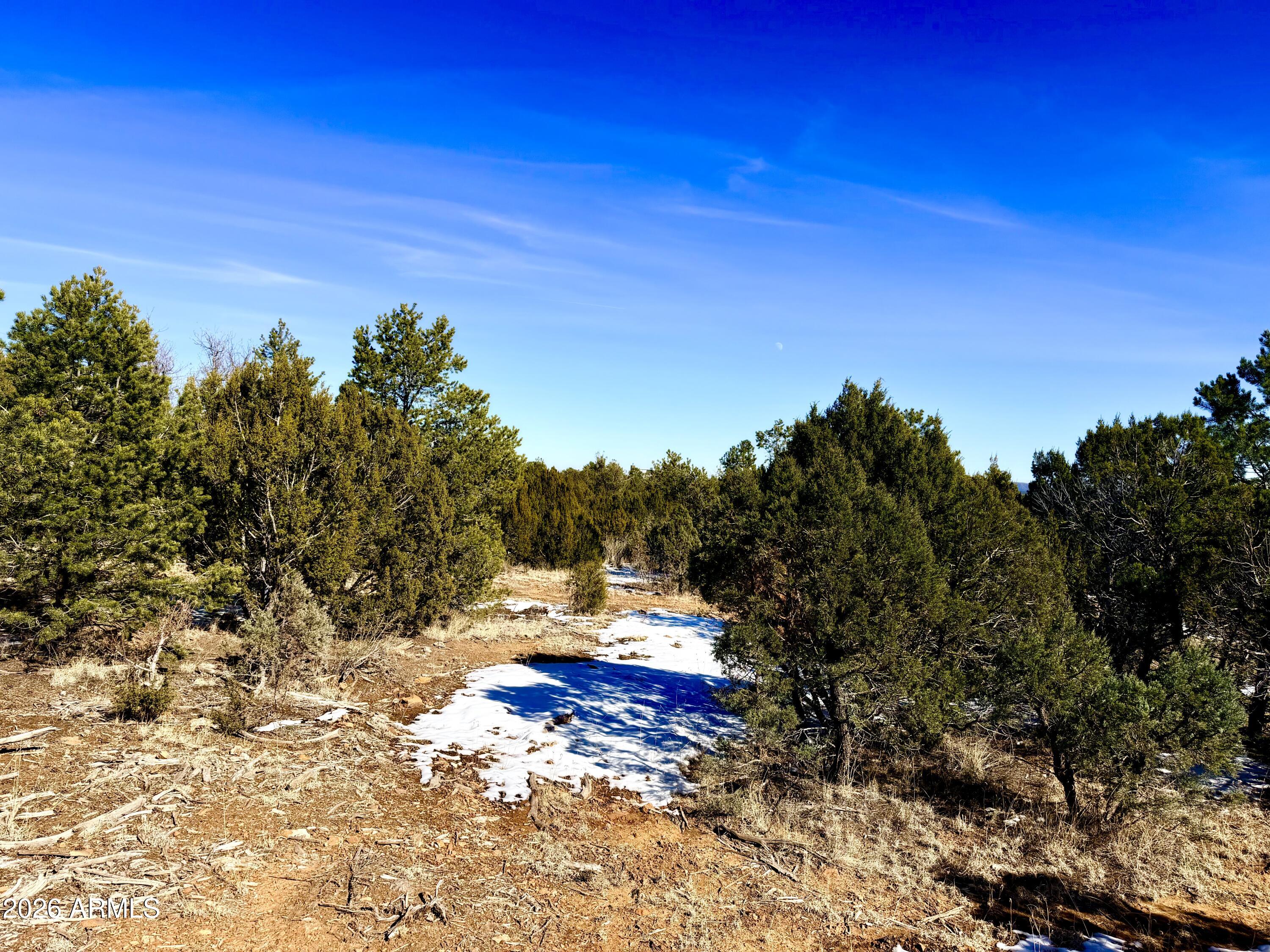 5302 Sunset Ridge Loop, Unit 194 Happy Jack, AZ 86024 - Photo 16 of 30 IMG_3103