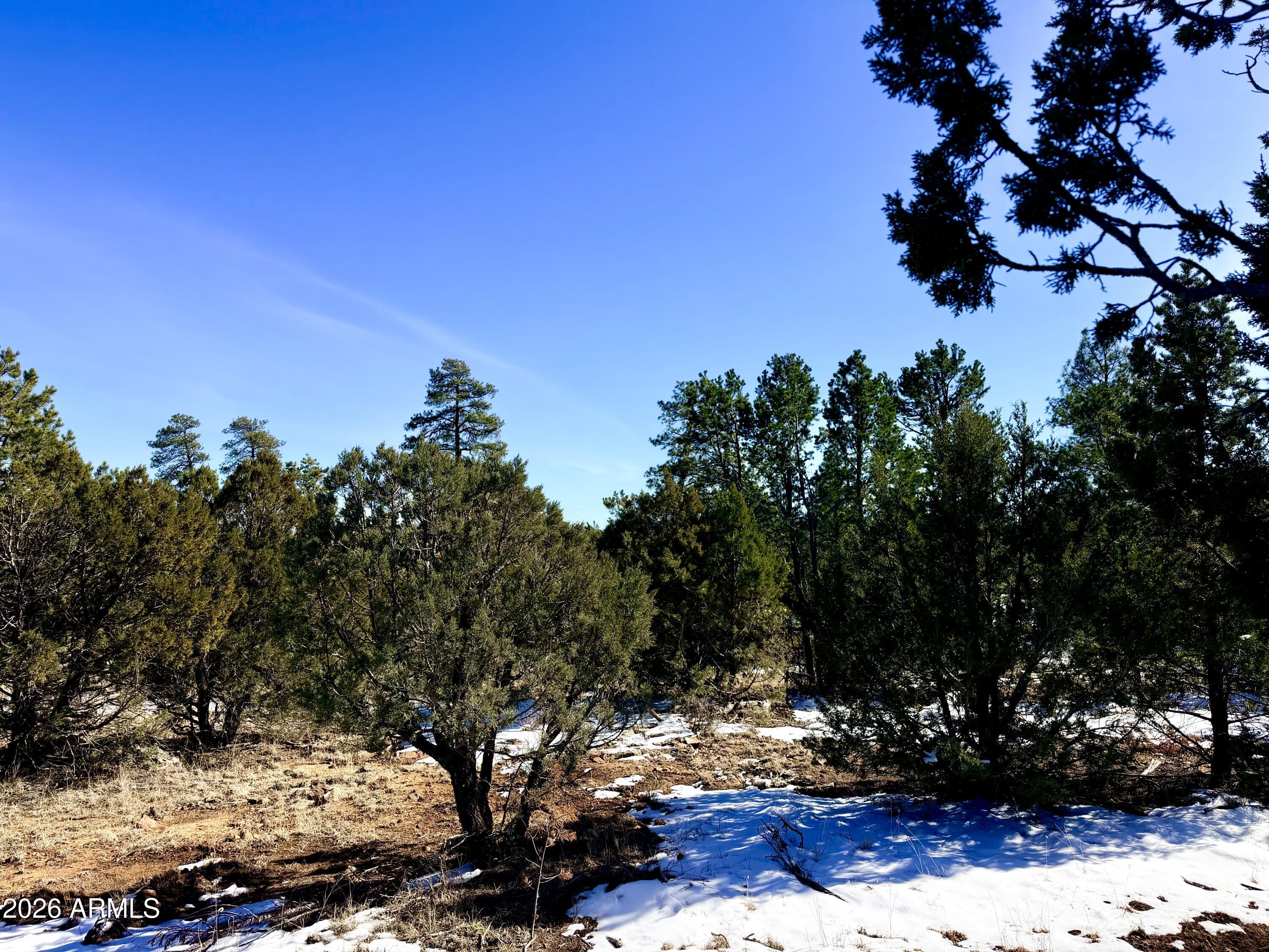 5302 Sunset Ridge Loop, Unit 194 Happy Jack, AZ 86024 - Photo 18 of 30 IMG_3101
