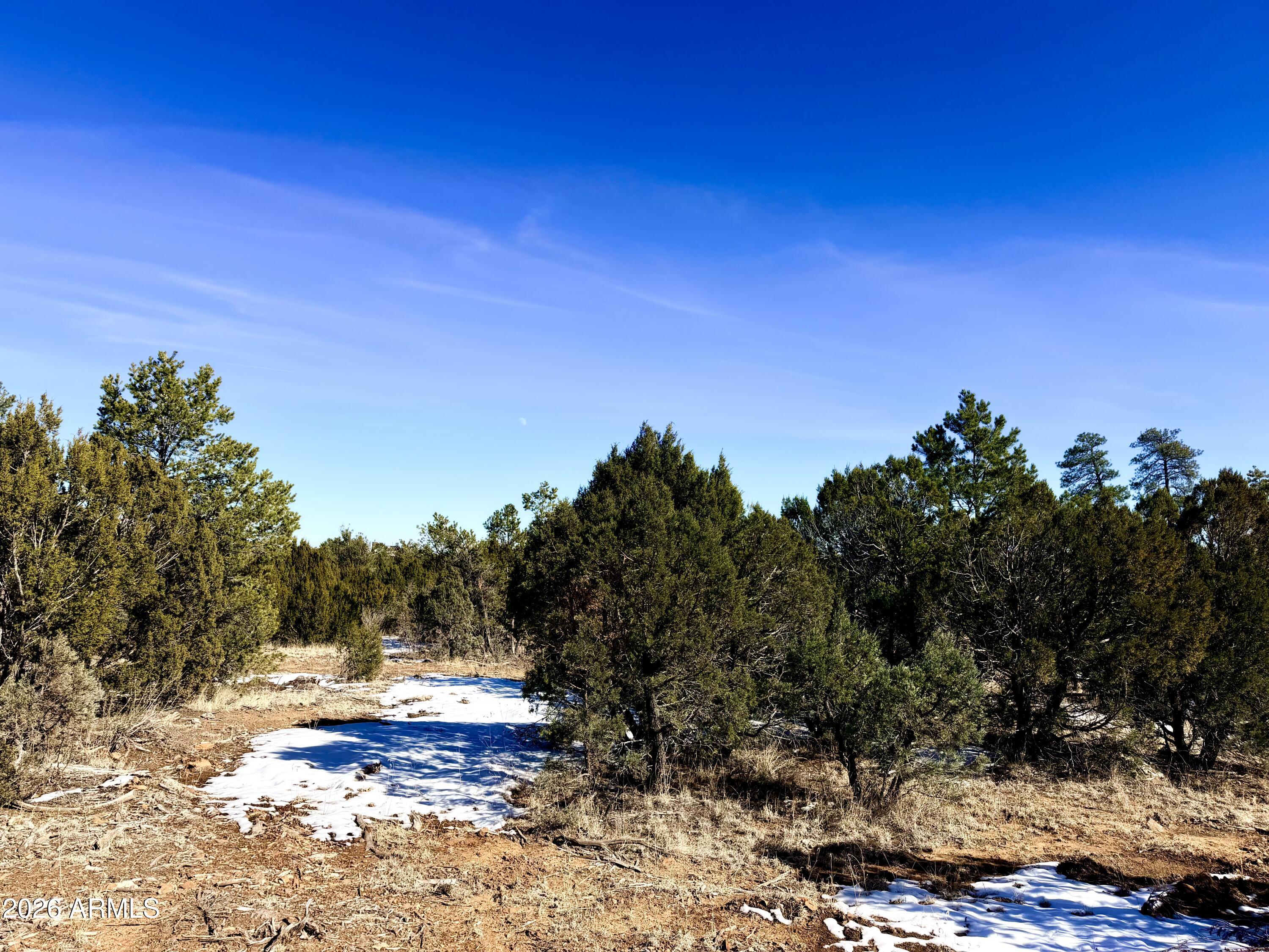 5302 Sunset Ridge Loop, Unit 194 Happy Jack, AZ 86024 - Photo 19 of 30 IMG_3100