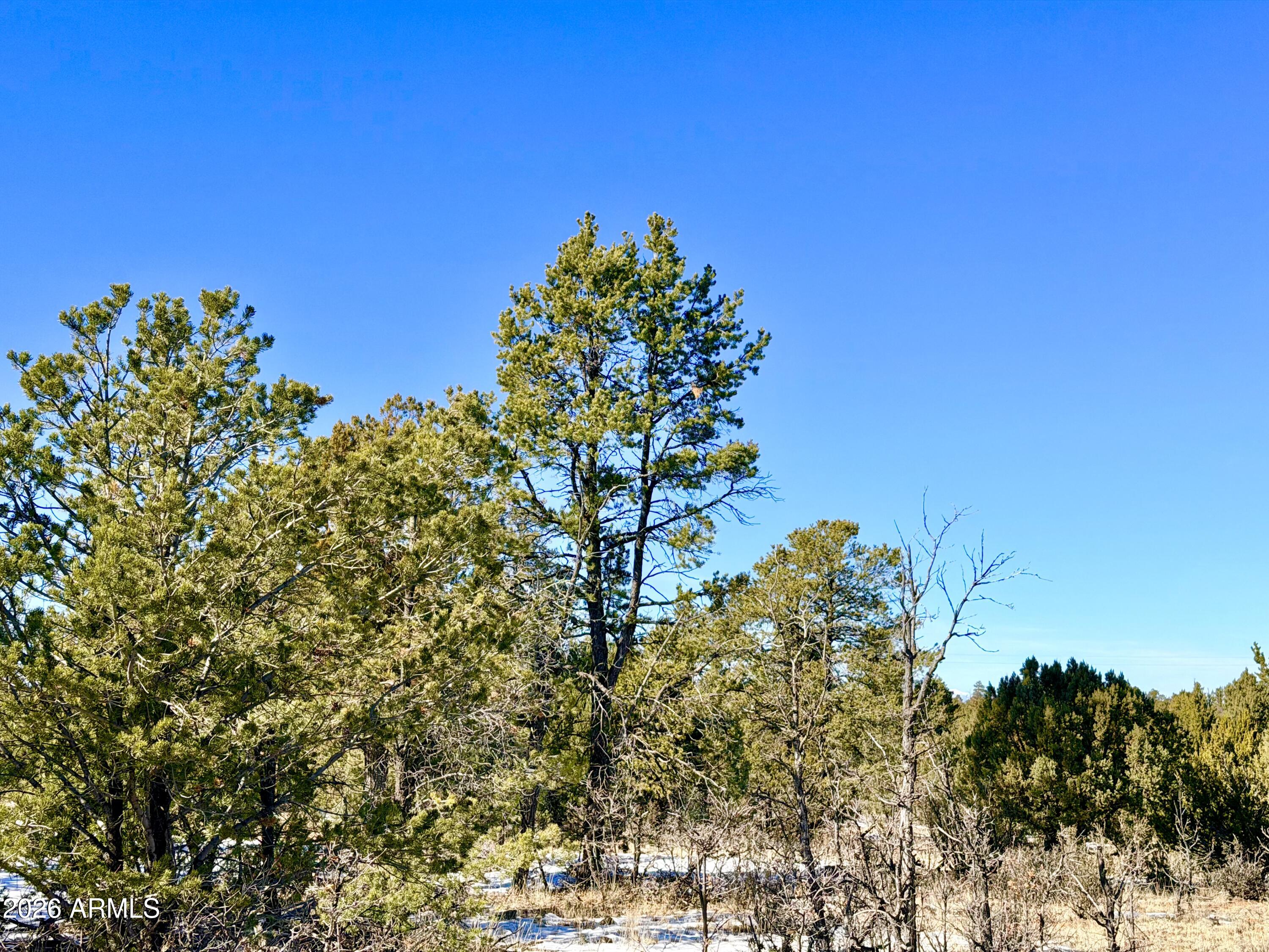 5302 Sunset Ridge Loop, Unit 194 Happy Jack, AZ 86024 - Photo 21 of 30 IMG_3111
