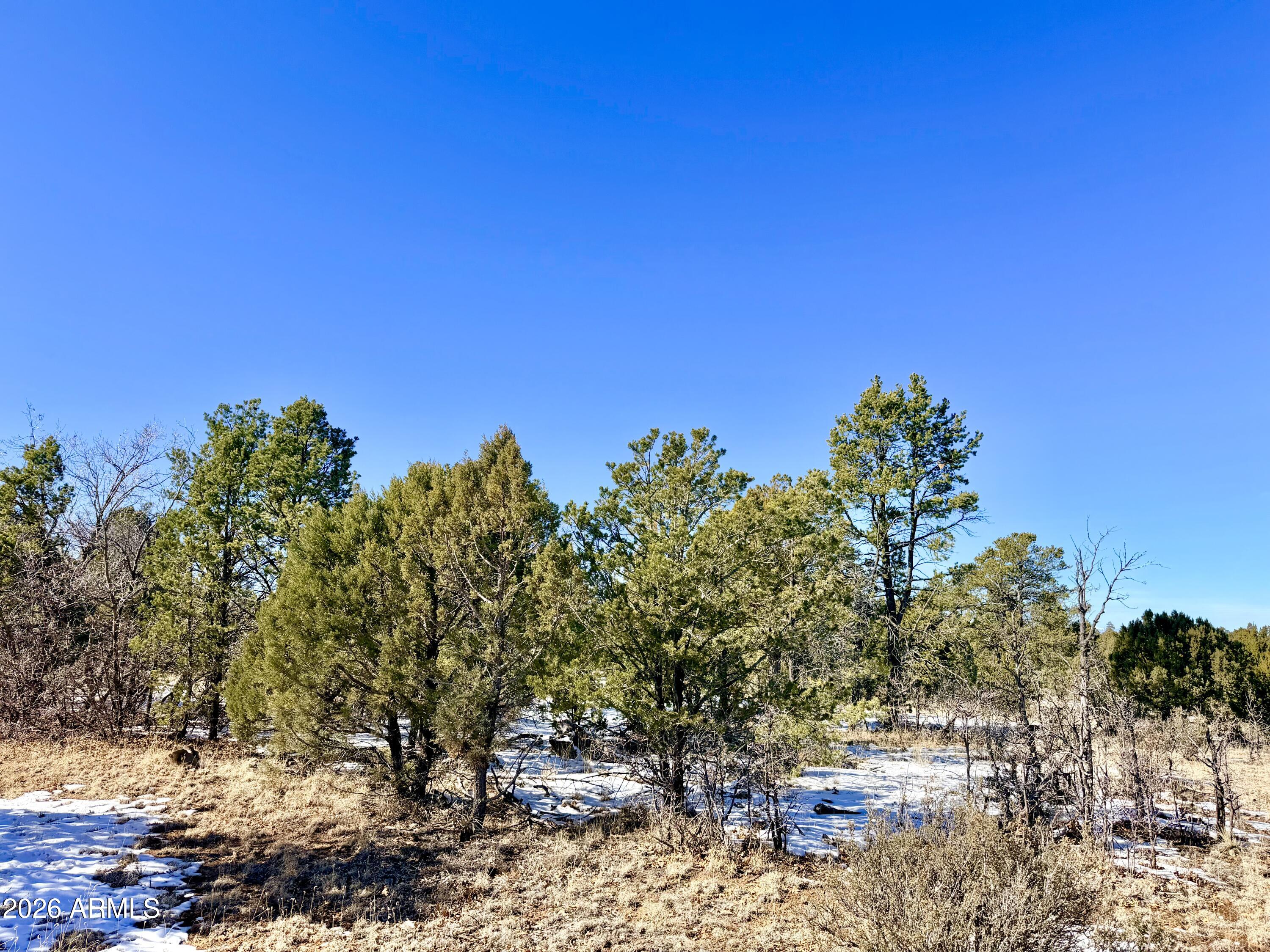 5302 Sunset Ridge Loop, Unit 194 Happy Jack, AZ 86024 - Photo 22 of 30 IMG_3110