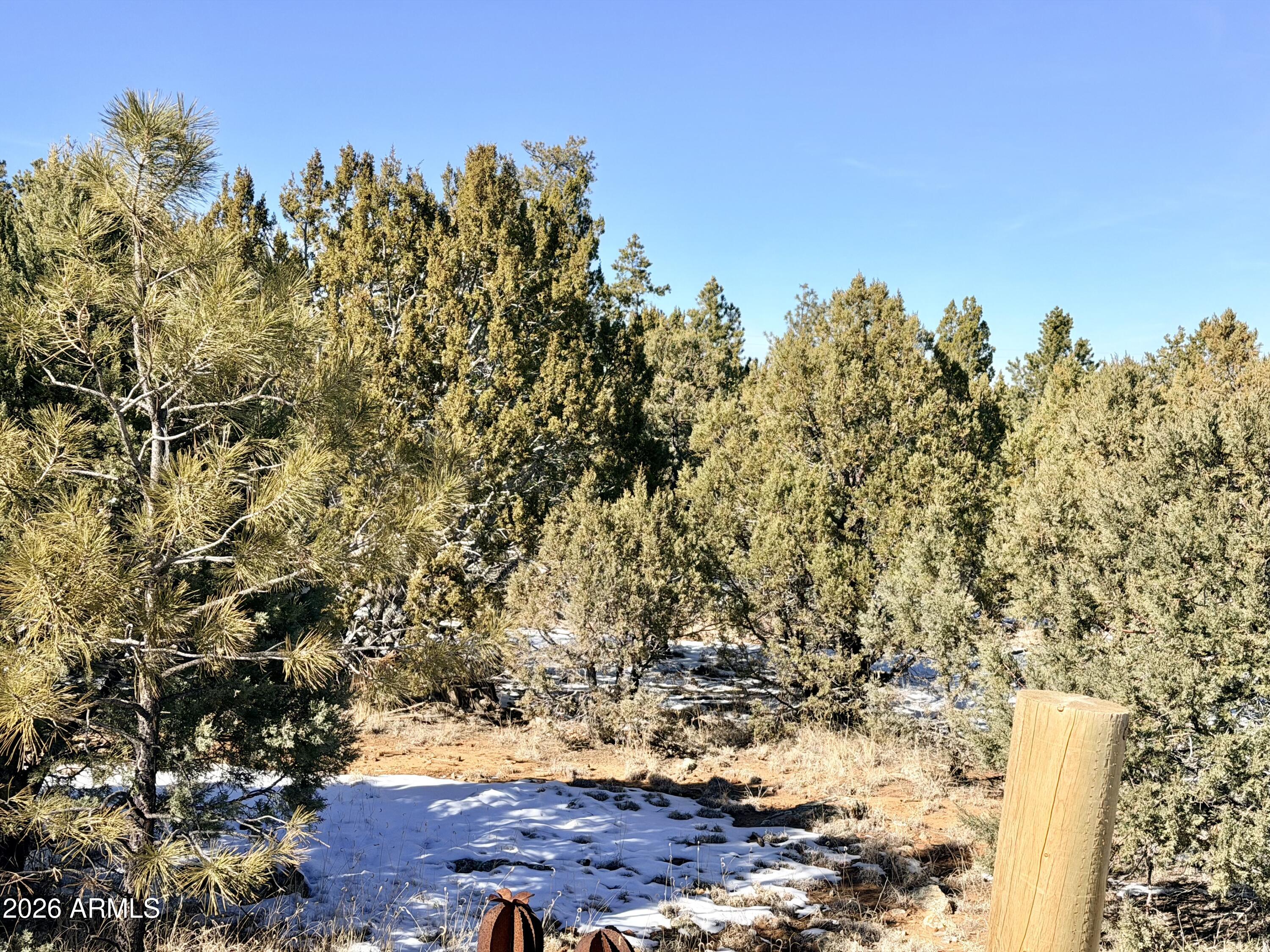 5302 Sunset Ridge Loop, Unit 194 Happy Jack, AZ 86024 - Photo 23 of 30 IMG_3117