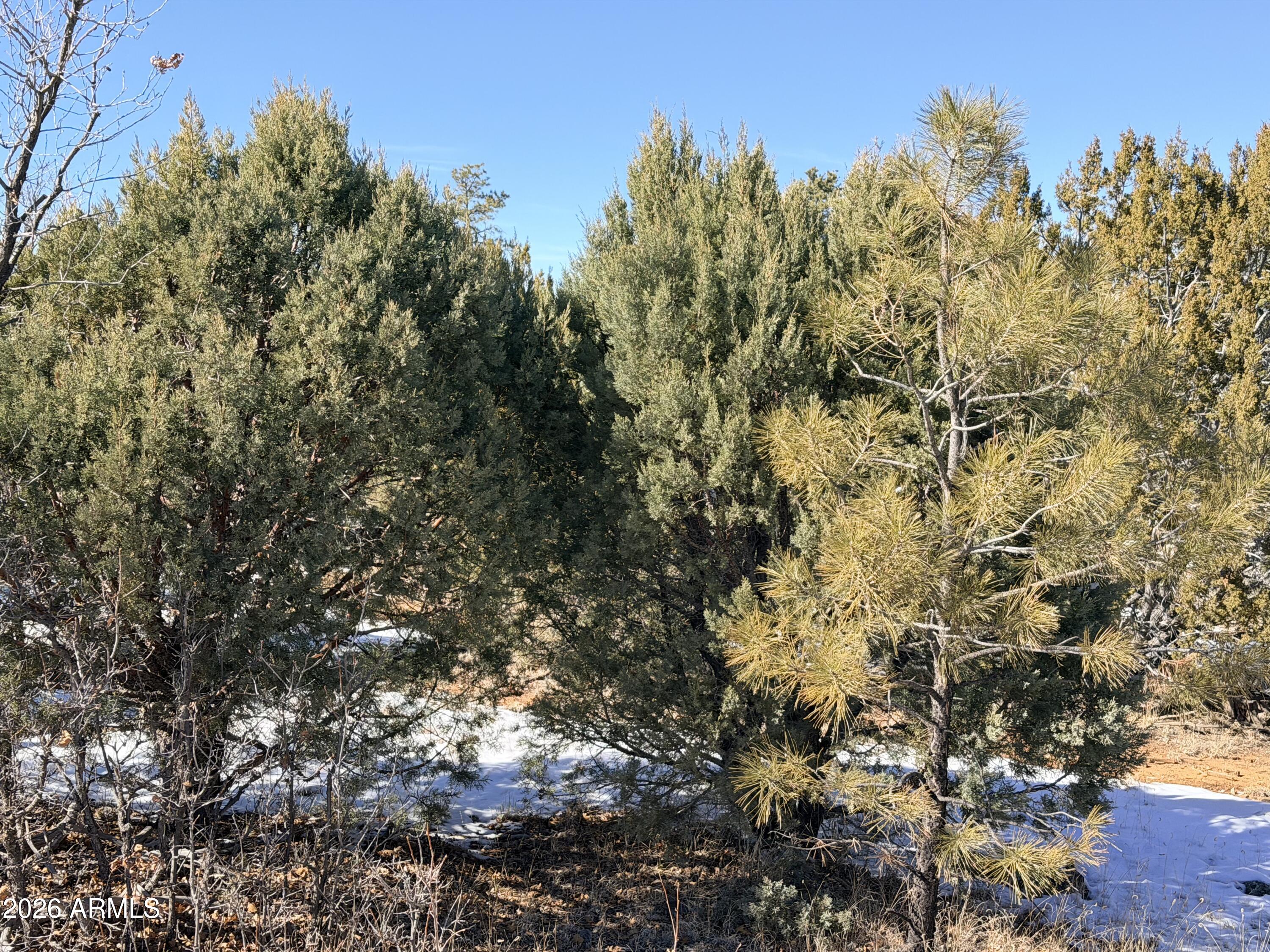5302 Sunset Ridge Loop, Unit 194 Happy Jack, AZ 86024 - Photo 24 of 30 IMG_3118