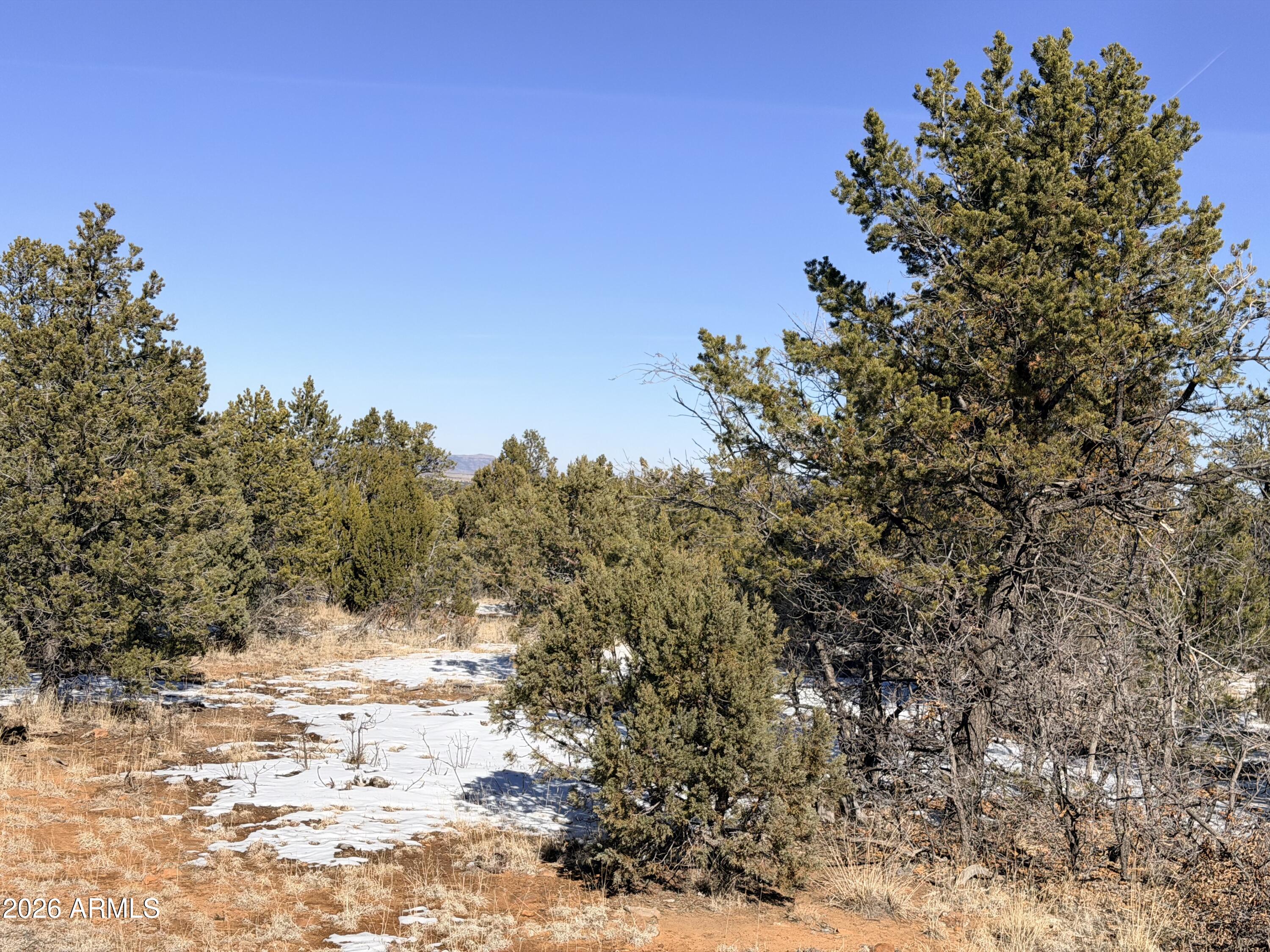 5302 Sunset Ridge Loop, Unit 194 Happy Jack, AZ 86024 - Photo 25 of 30 IMG_3119