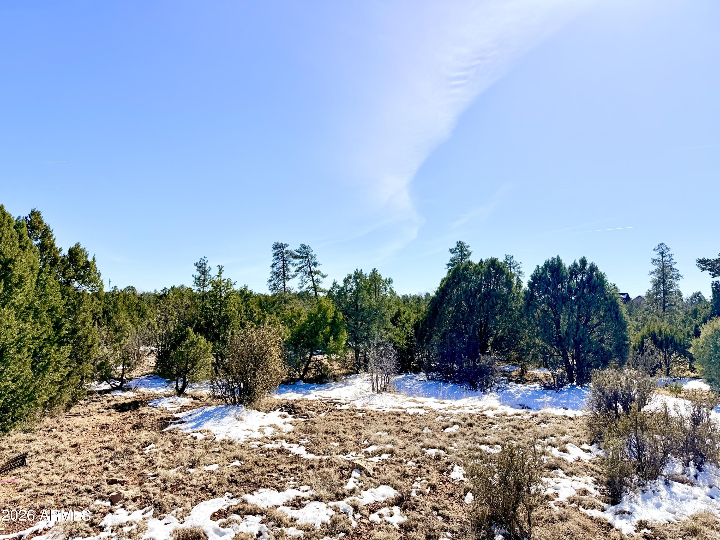 5302 Sunset Ridge Loop, Unit 194 Happy Jack, AZ 86024 - Photo 26 of 30 IMG_3084