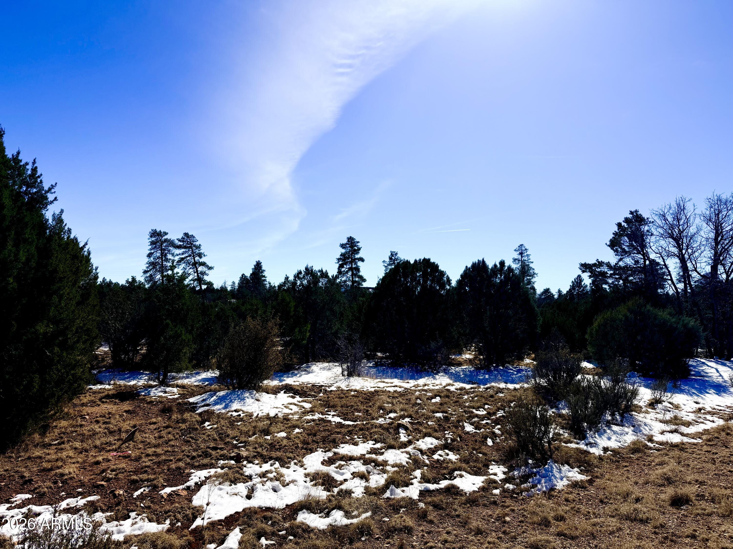 5302 Sunset Ridge Loop, Unit 194 Happy Jack, AZ 86024 - Photo 27 of 30 IMG_3083