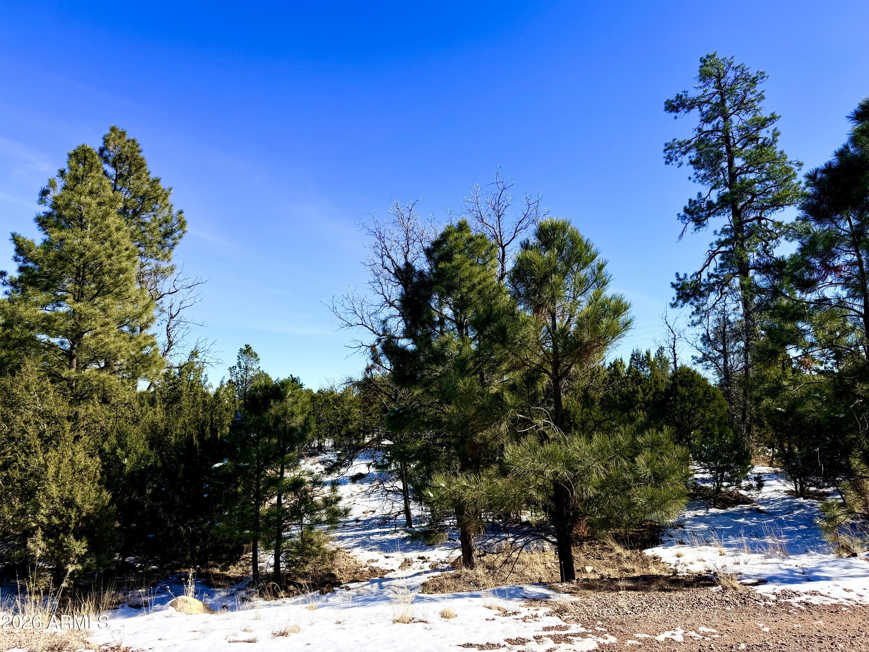 5302 Sunset Ridge Loop, Unit 194 Happy Jack, AZ 86024 - Photo 28 of 30 IMG_3108