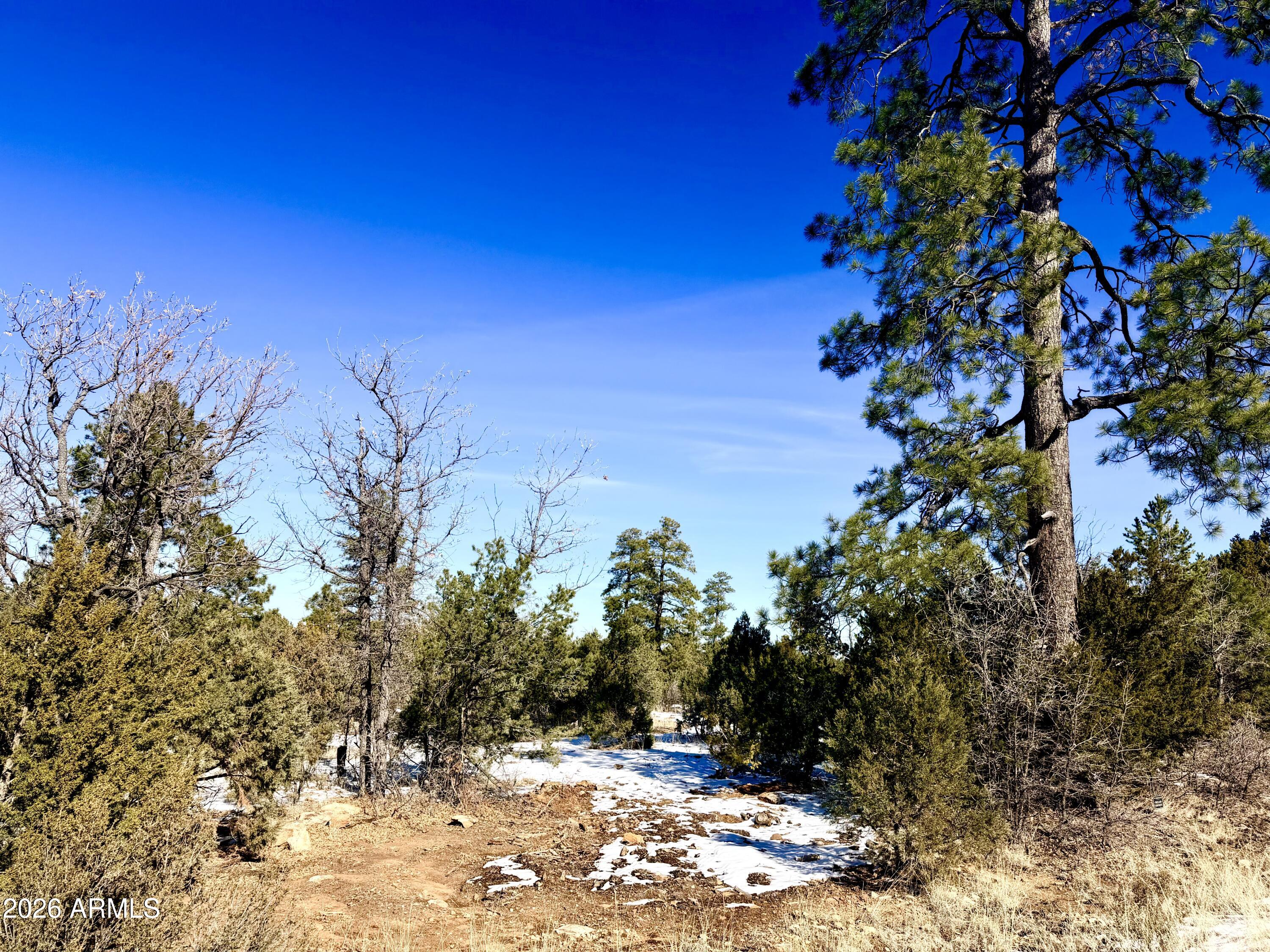 5302 Sunset Ridge Loop, Unit 194 Happy Jack, AZ 86024 - Photo 29 of 30 IMG_3109
