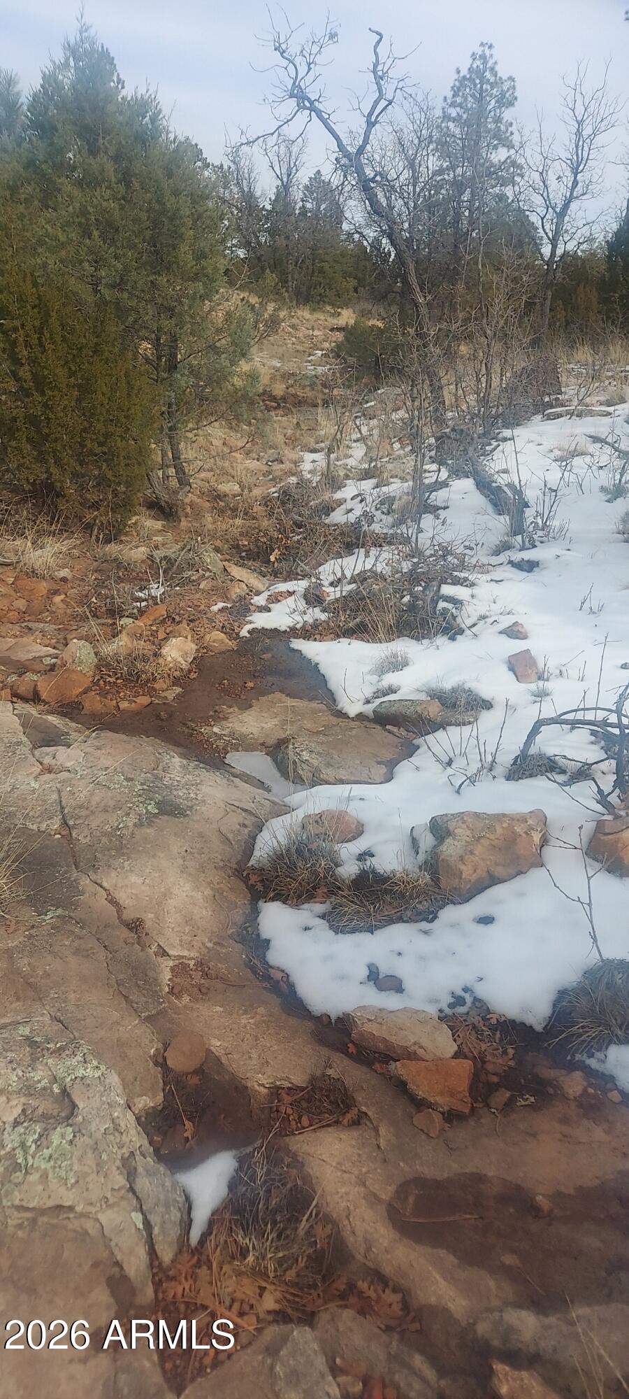 5302 Sunset Ridge Loop, Unit 194 Happy Jack, AZ 86024 - Photo 6 of 30 Creek bed on lot