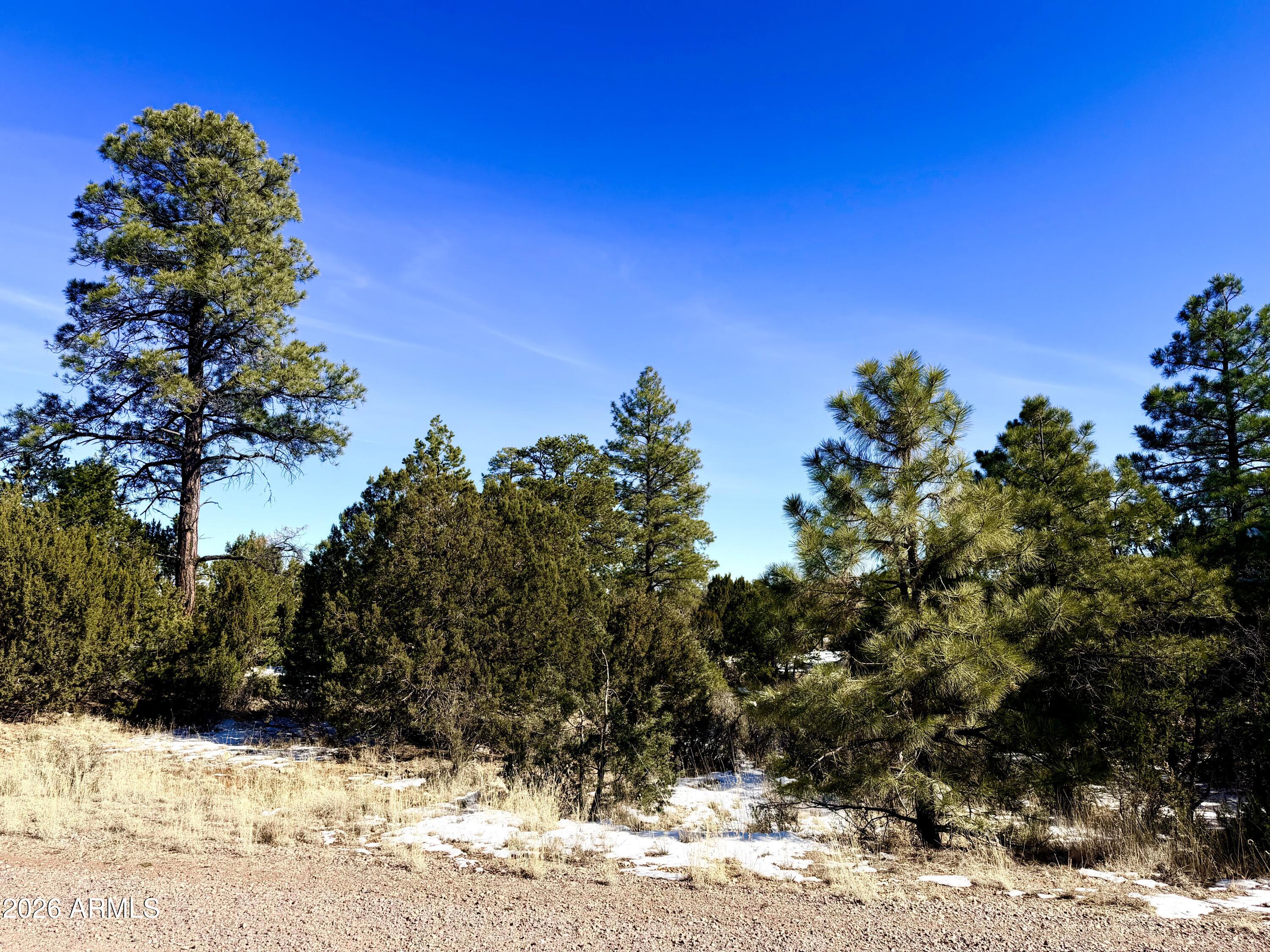 5302 Sunset Ridge Loop, Unit 194 Happy Jack, AZ 86024 - Photo 8 of 30 Mixed trees