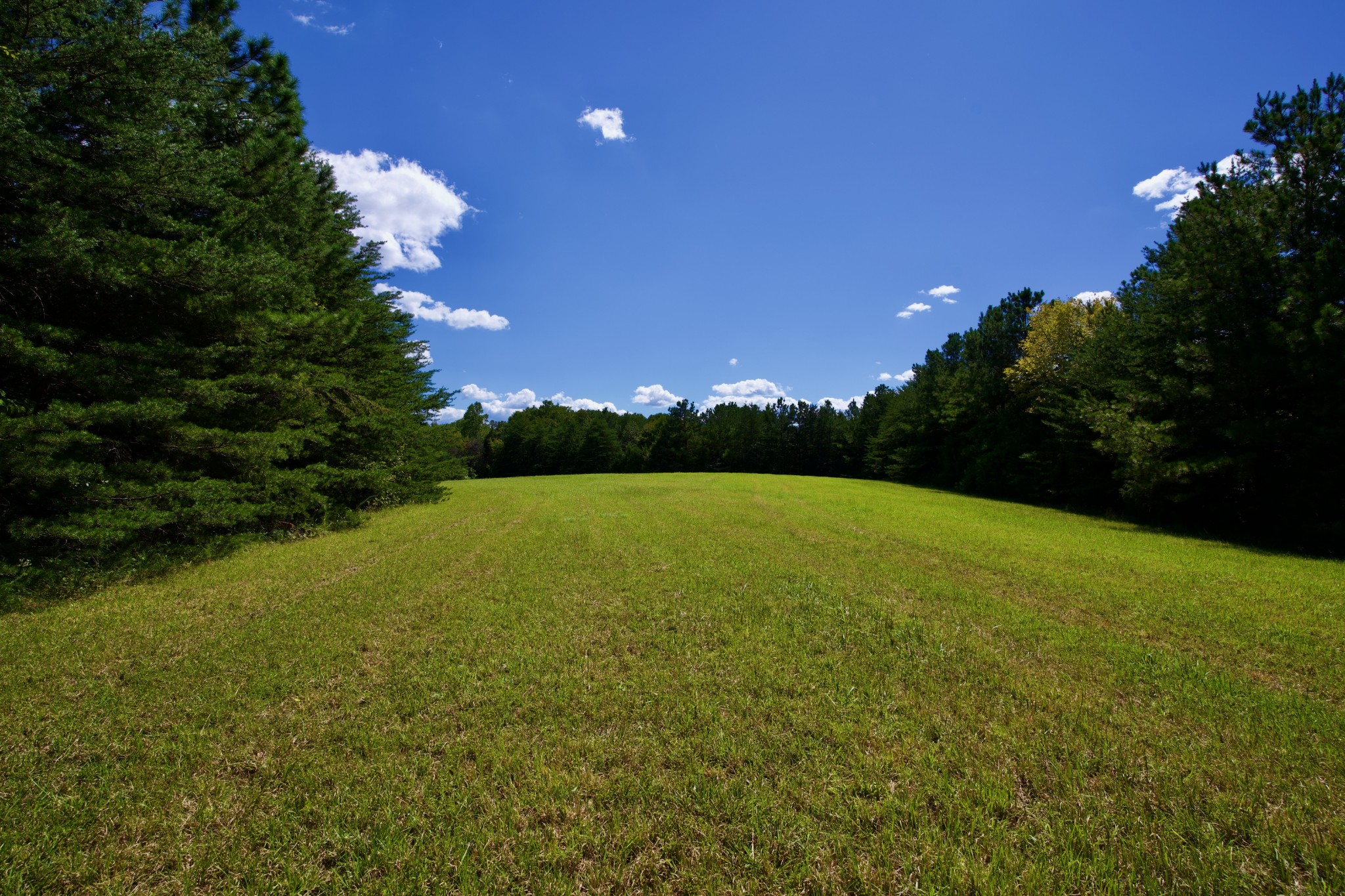 a view of a green field with clear sky