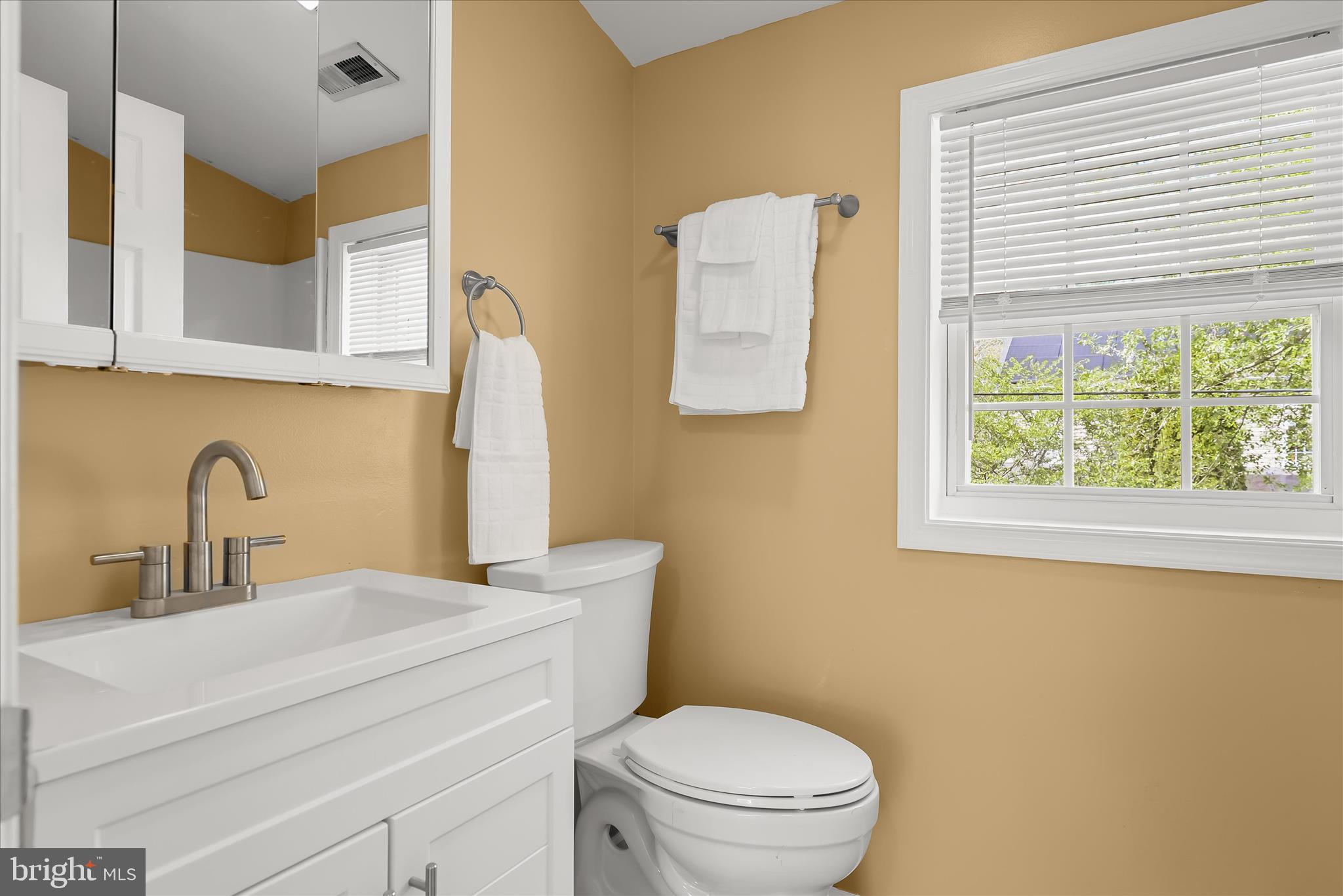 207 Mechanics Valley Road North East, MD 21901 - Photo 26 of 32 a bathroom with a toilet sink vanity and mirror