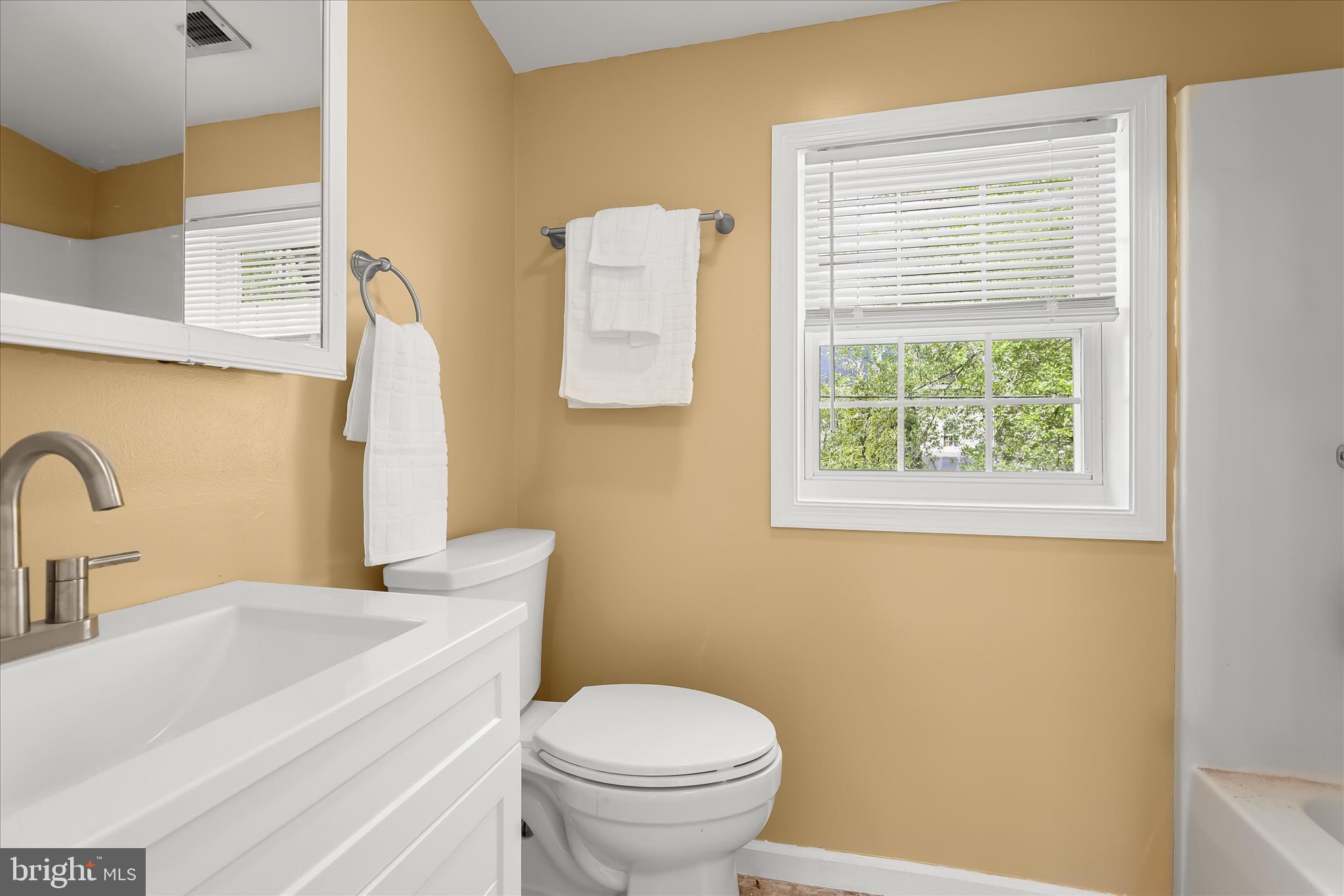 207 Mechanics Valley Road North East, MD 21901 - Photo 27 of 32 a bathroom with a sink a toilet and a mirror
