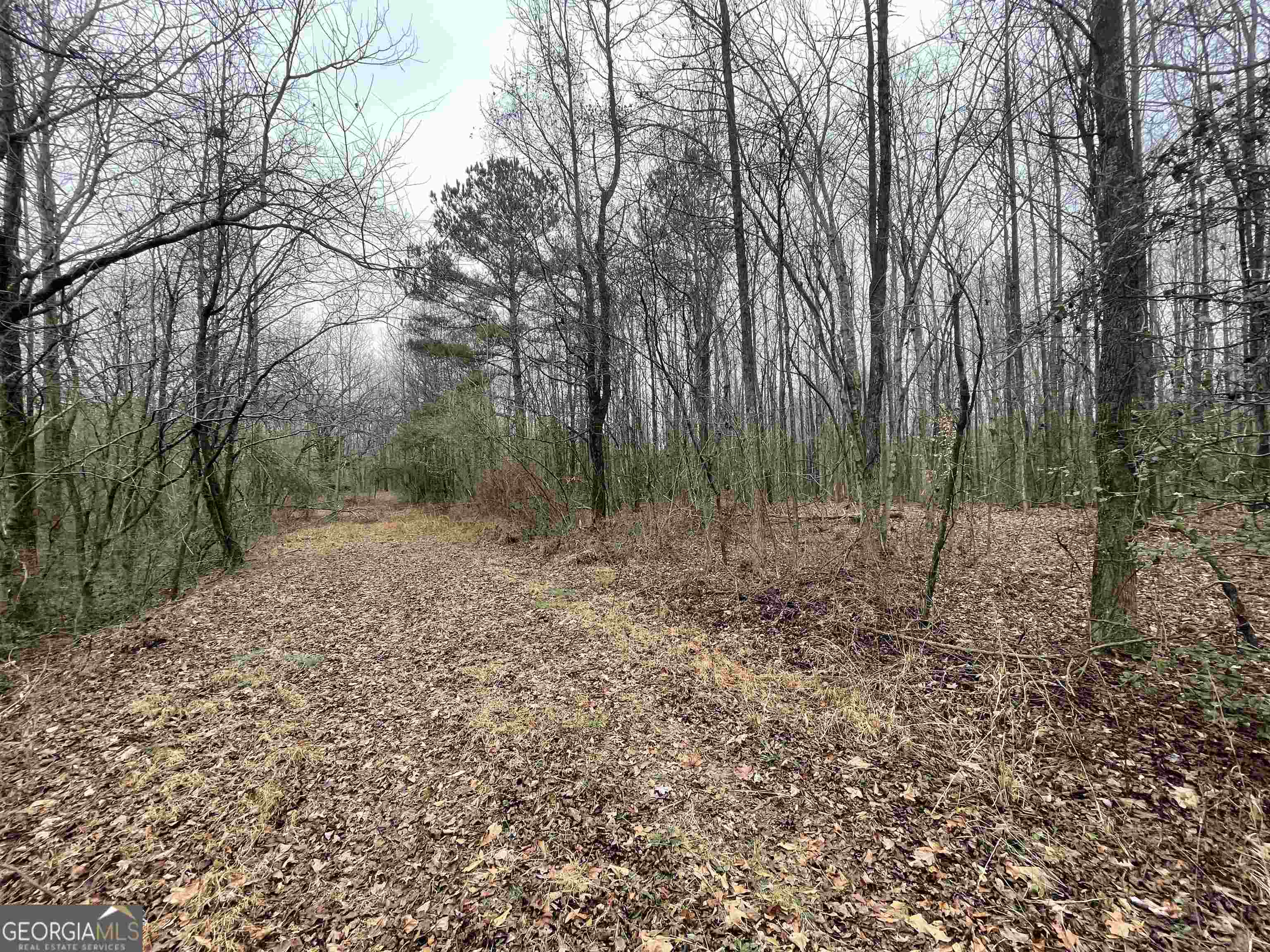 0 Holiness Campground Road Cleveland, GA 30528 - Photo 12 of 13
